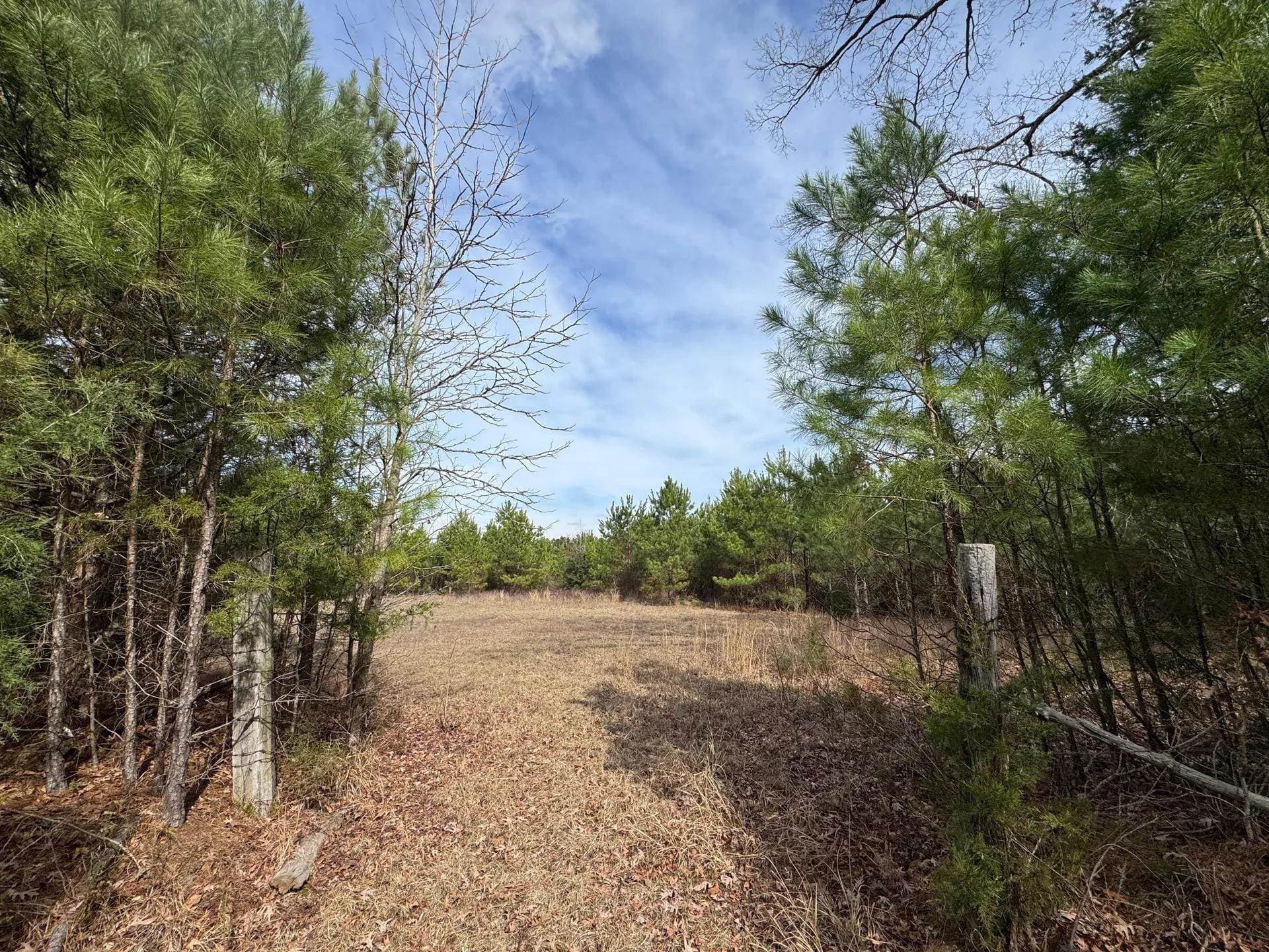 8 acres in Cass County - photo 9