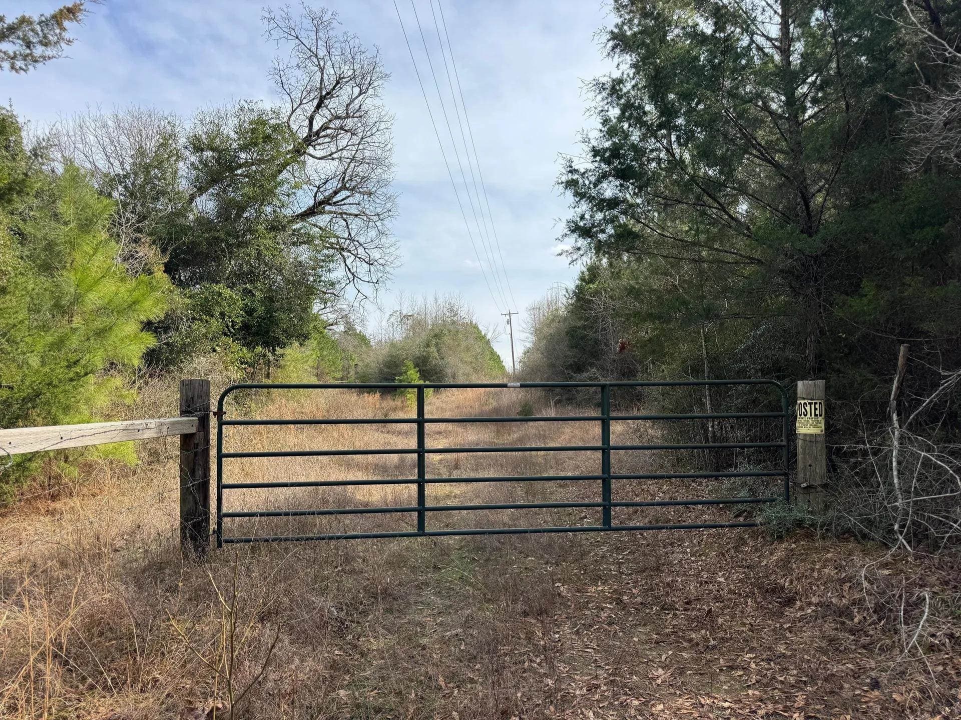 8 acres in Cass County - photo 10