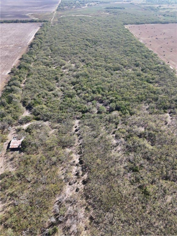 25 acres in Kleberg County - photo 5