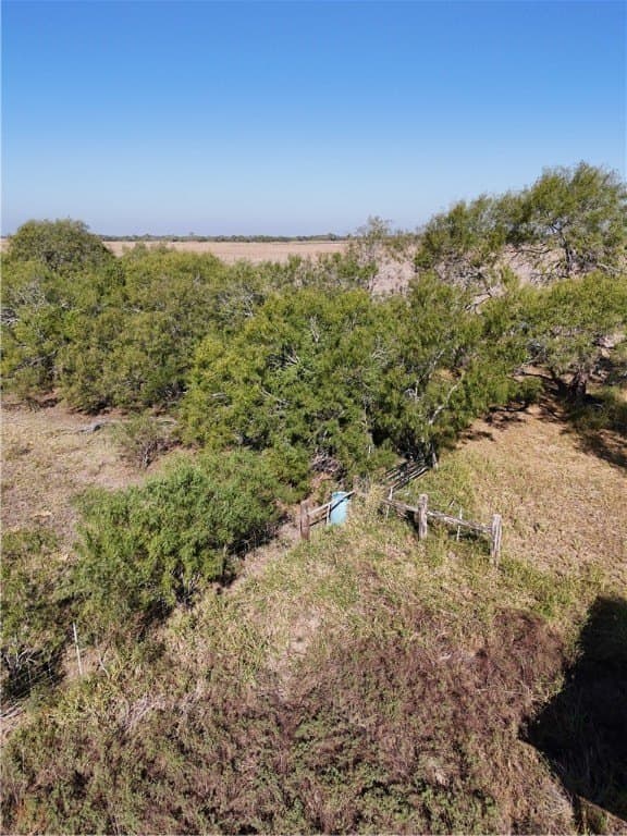 25 acres in Kleberg County - photo 7