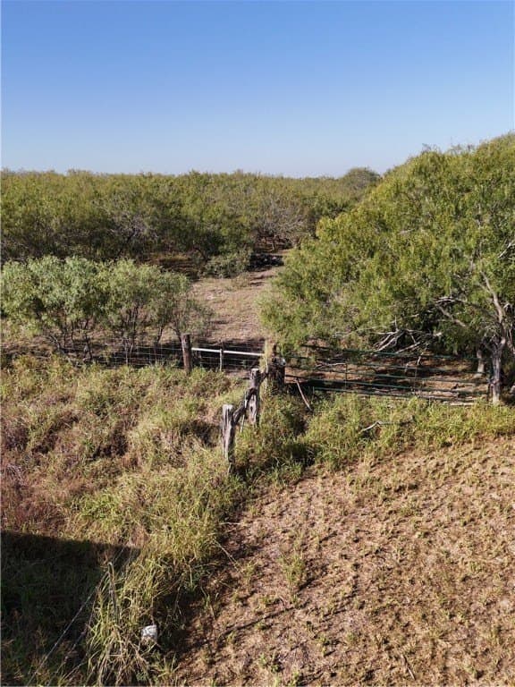 25 acres in Kleberg County - photo 3