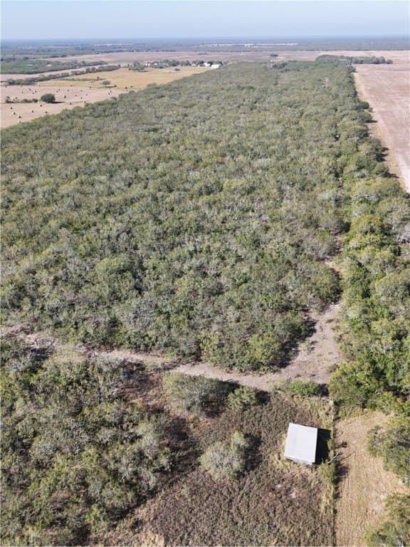 25 acres in Kleberg County - photo 2