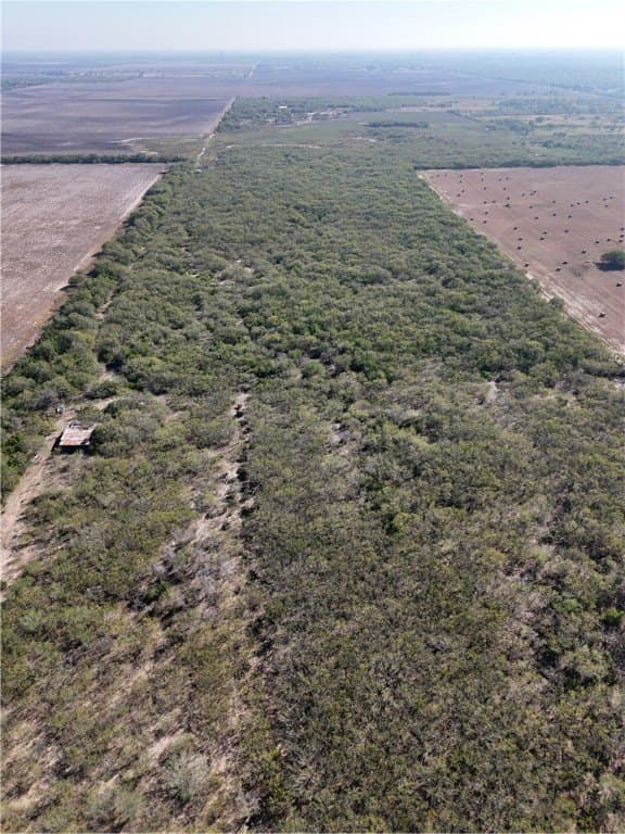 25 acres in Kleberg County - photo 6