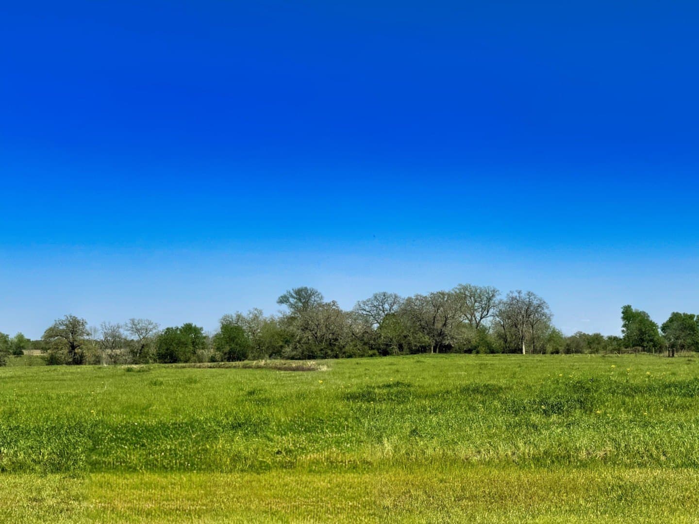 10068 Panther Creek Drive