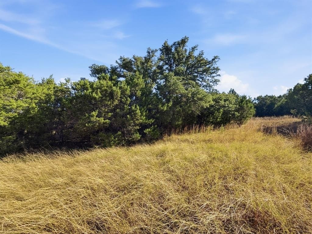 11.08 acres in Hamilton County - photo 22