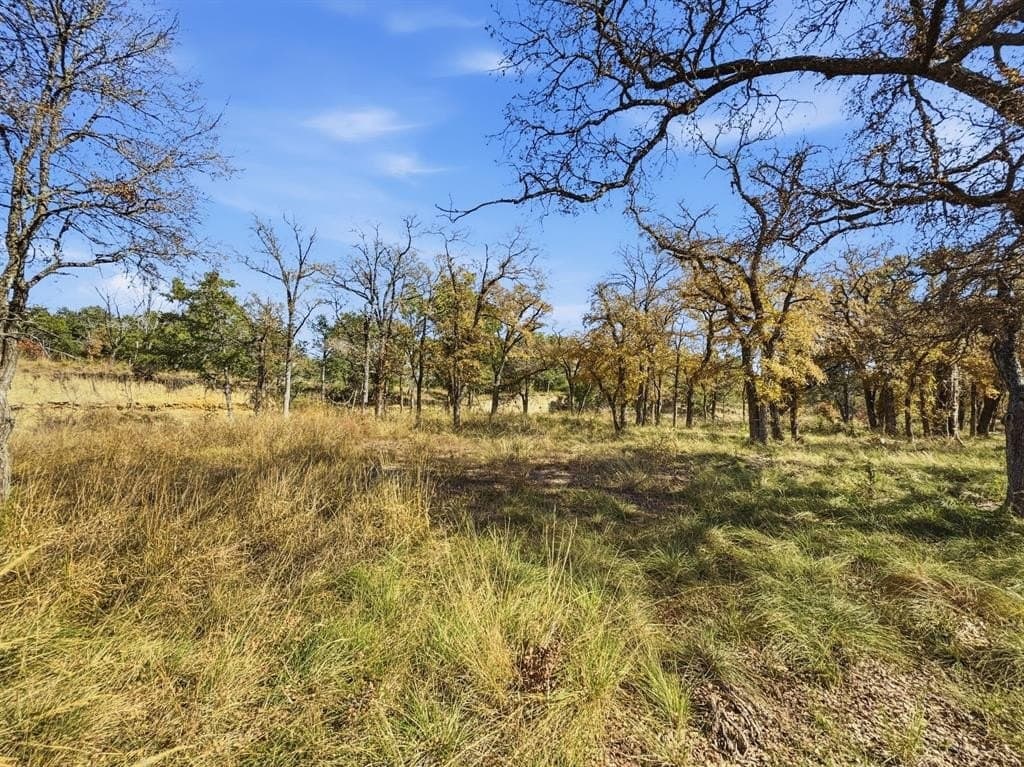 11.08 acres in Hamilton County - photo 12