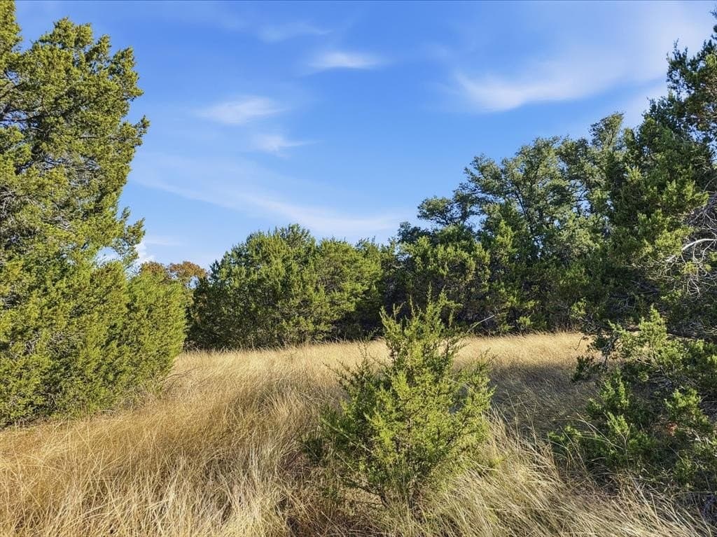 11.08 acres in Hamilton County - photo 6