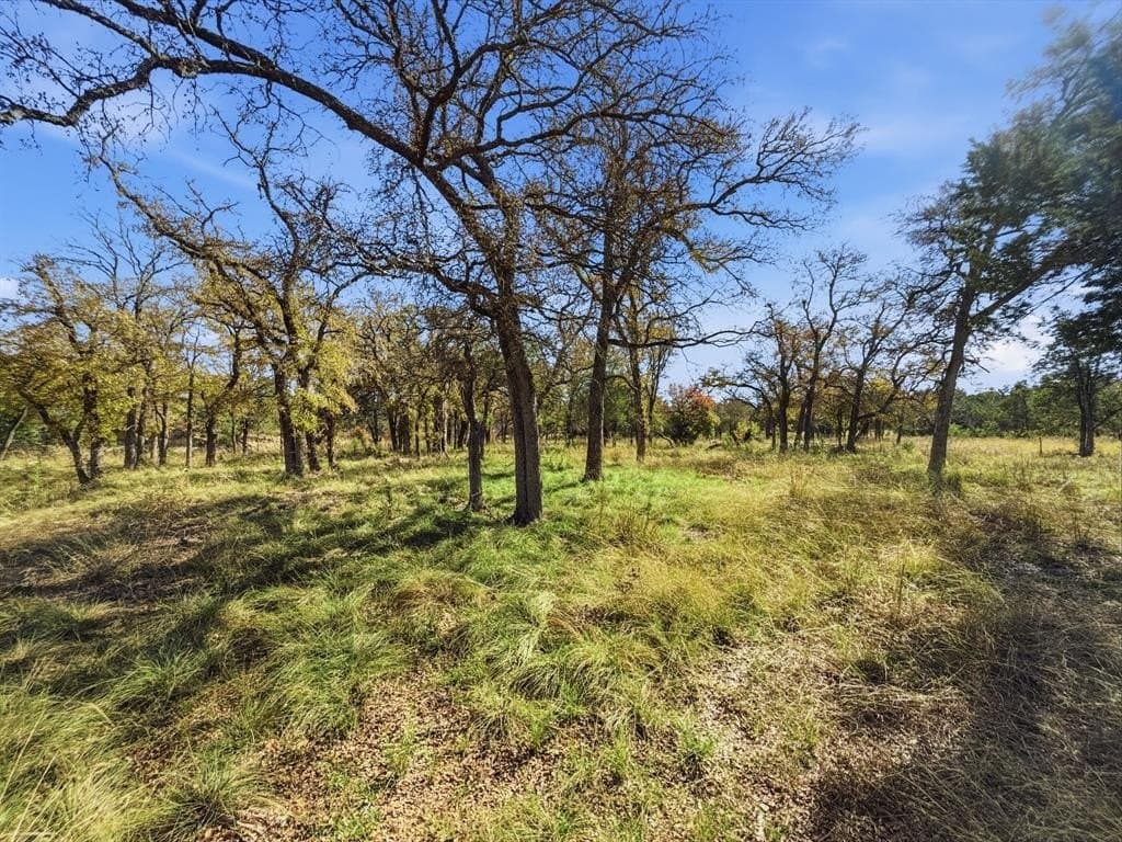 11.08 acres in Hamilton County - photo 11