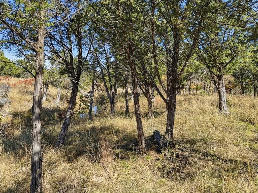 11.08 acres in Hamilton County - photo 7