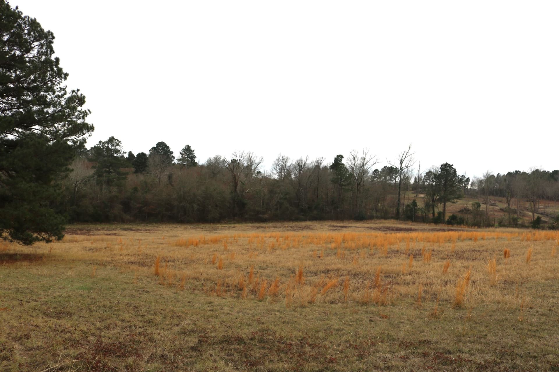 9.11 acres in Upshur County - photo 24