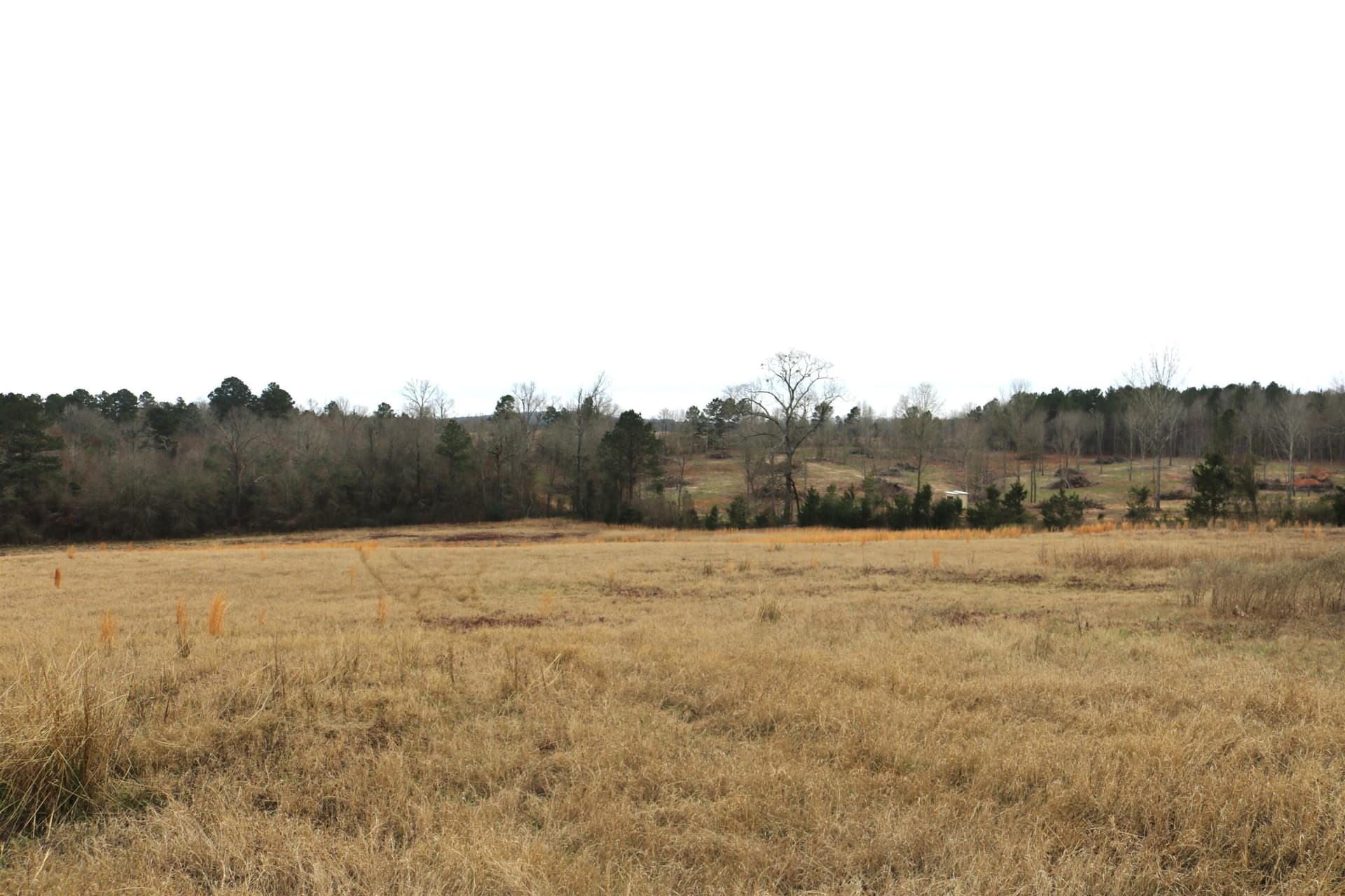 9.11 acres in Upshur County - photo 23