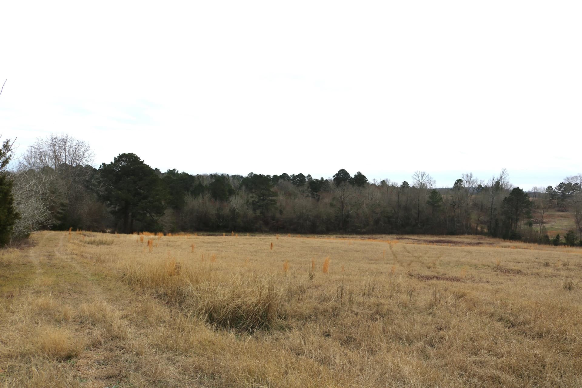 9.11 acres in Upshur County - photo 22