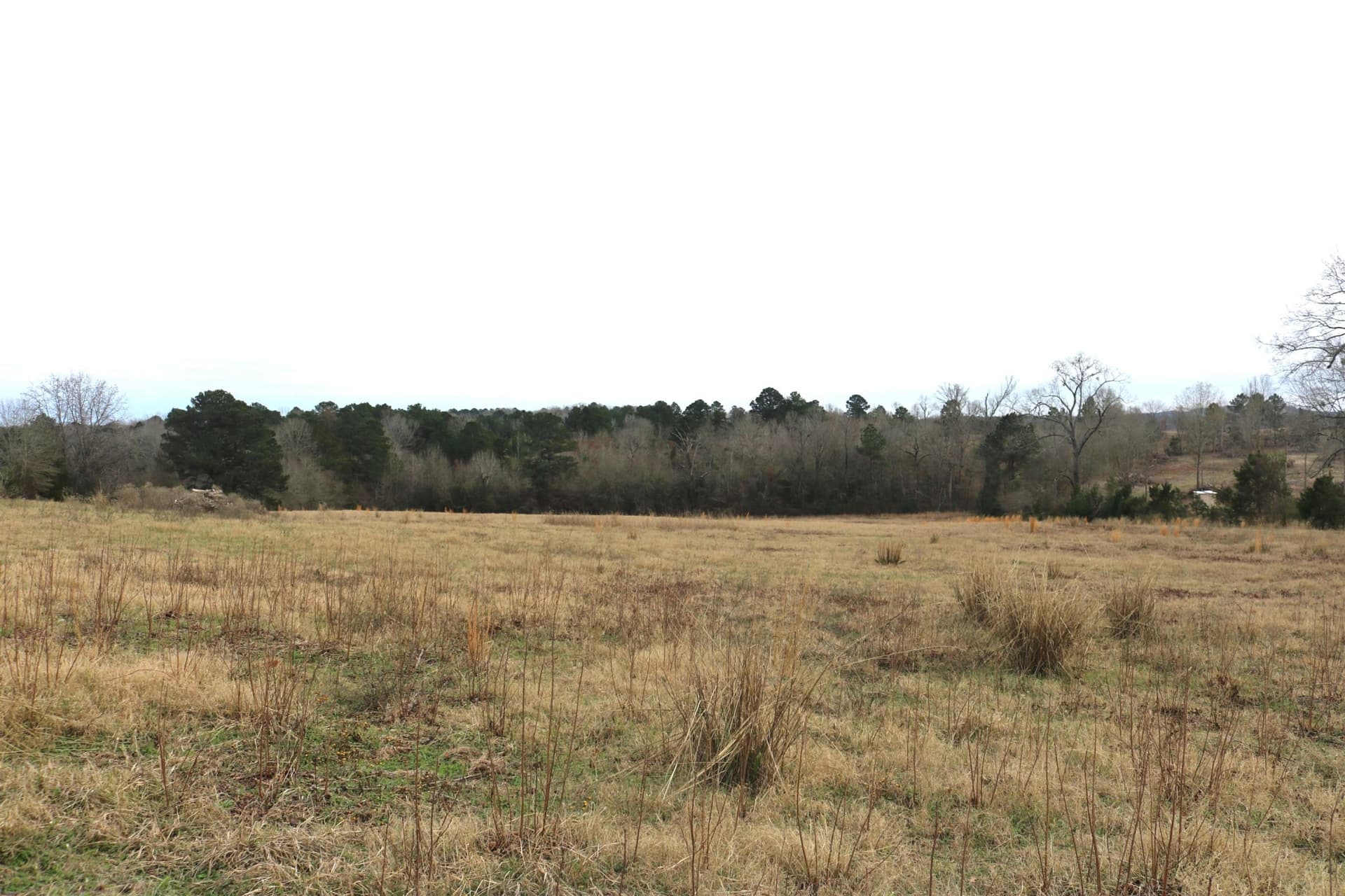 9.11 acres in Upshur County - photo 19