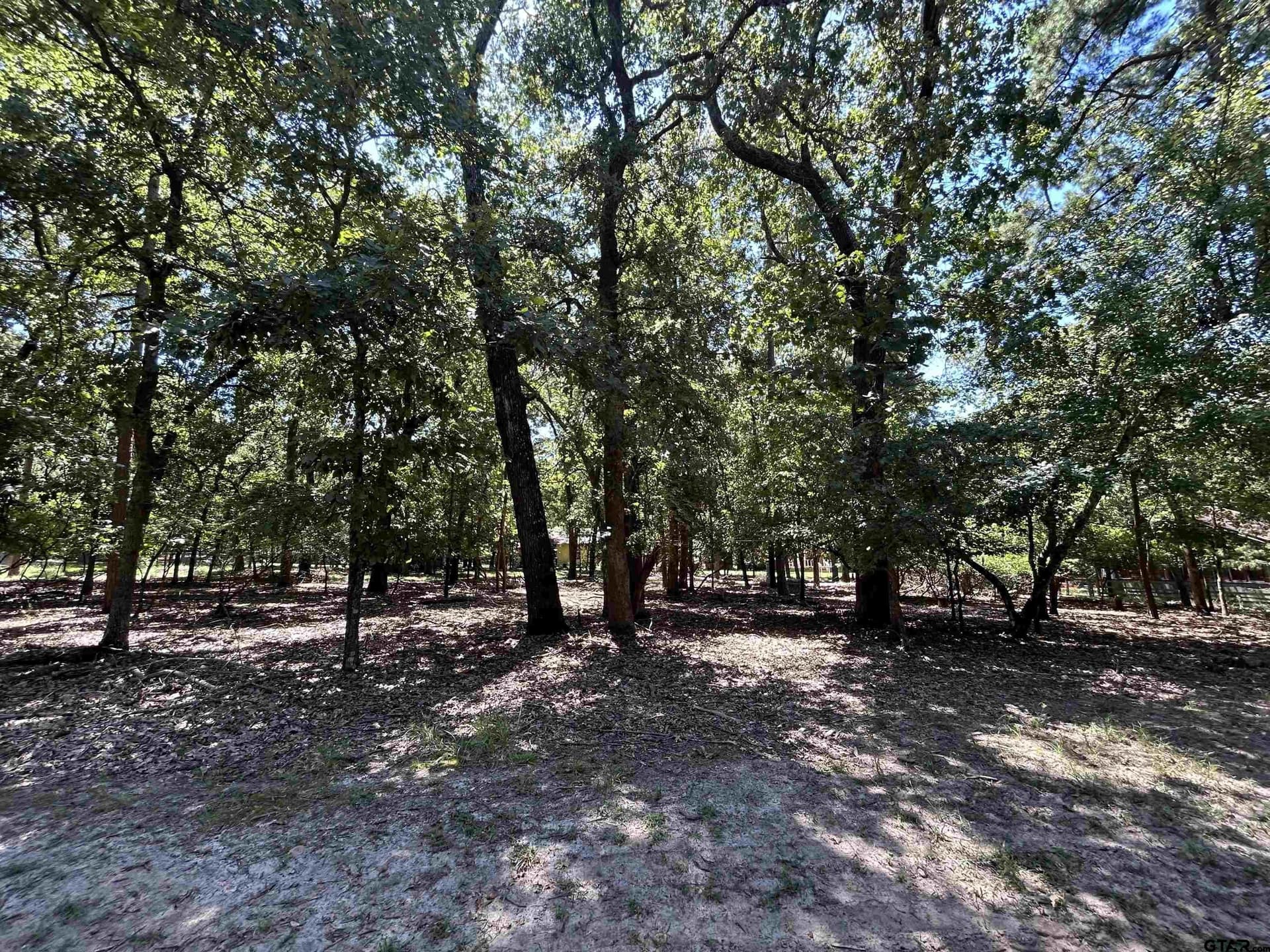 0 acres in Wood County - photo 2