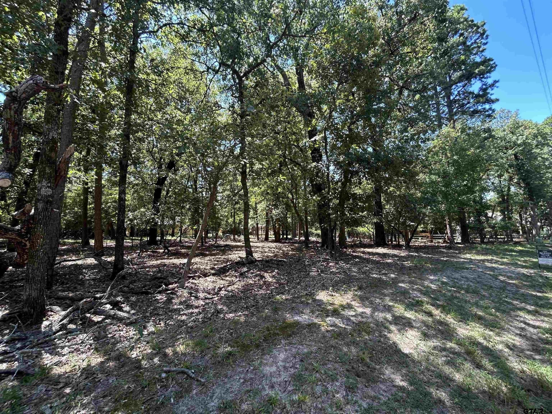 0 acres in Wood County - photo 4