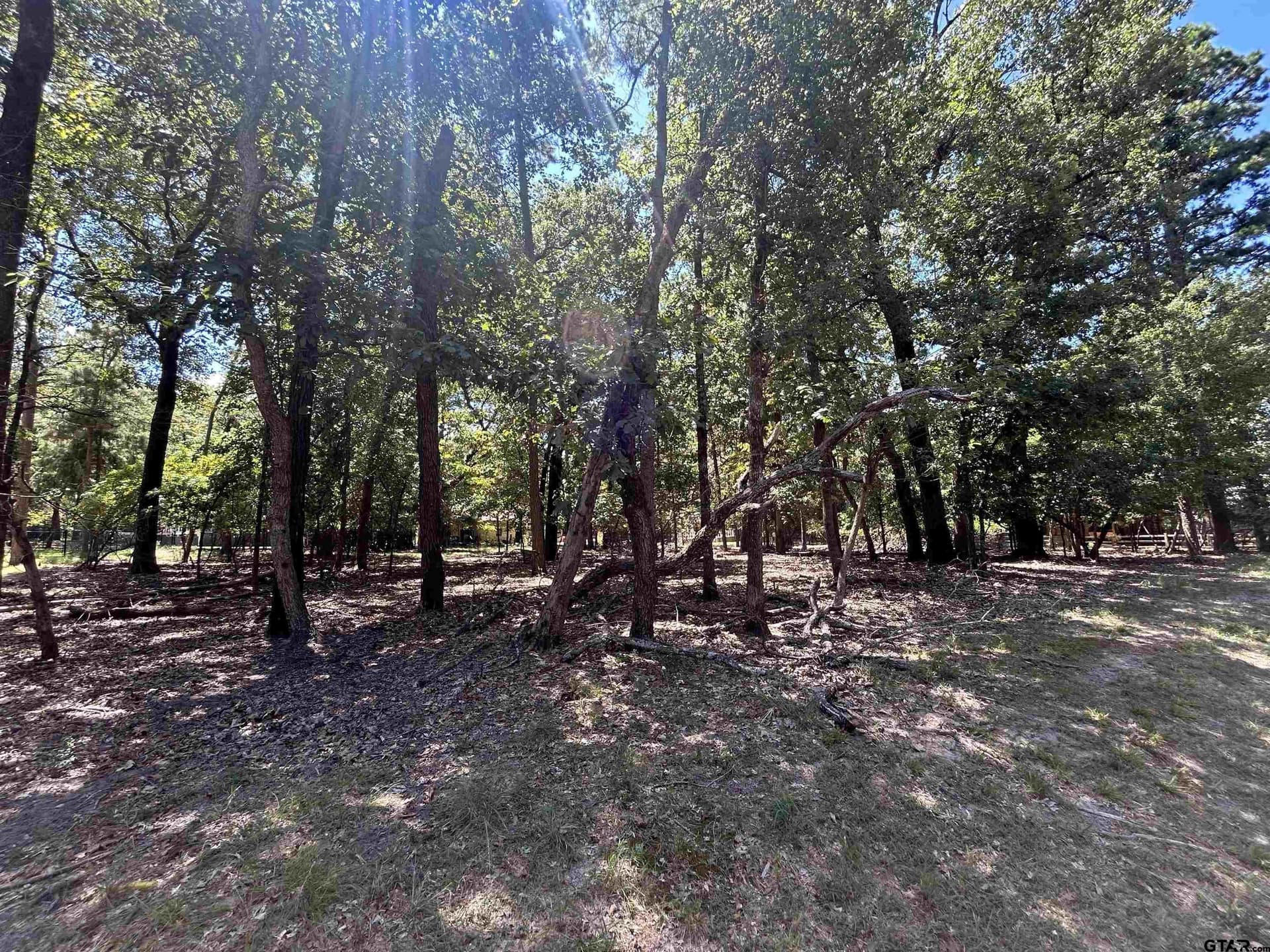 0 acres in Wood County - photo 3