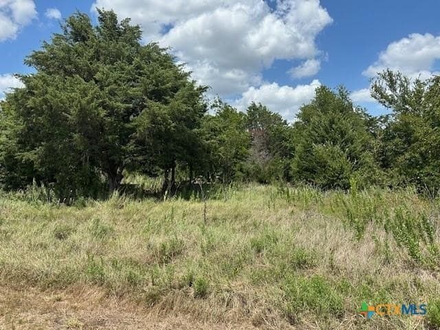 17 acres in McLennan County - photo 10