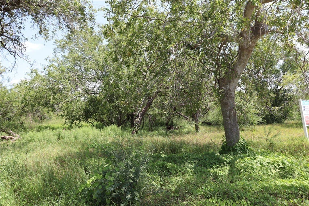 21 acres in San Patricio County - photo 16
