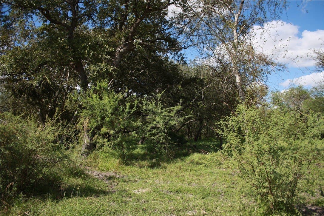 21 acres in San Patricio County - photo 5