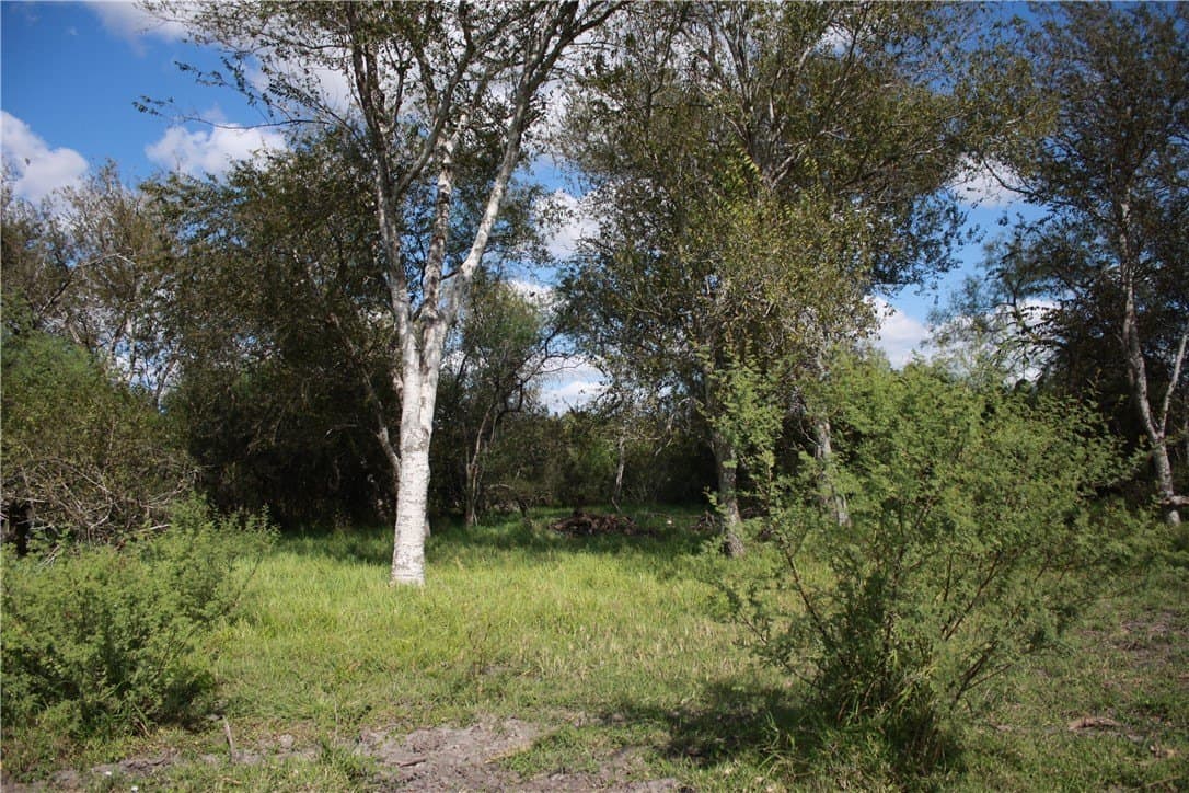 21 acres in San Patricio County - photo 6