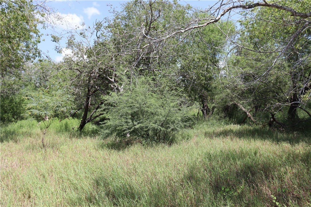 21 acres in San Patricio County - photo 13