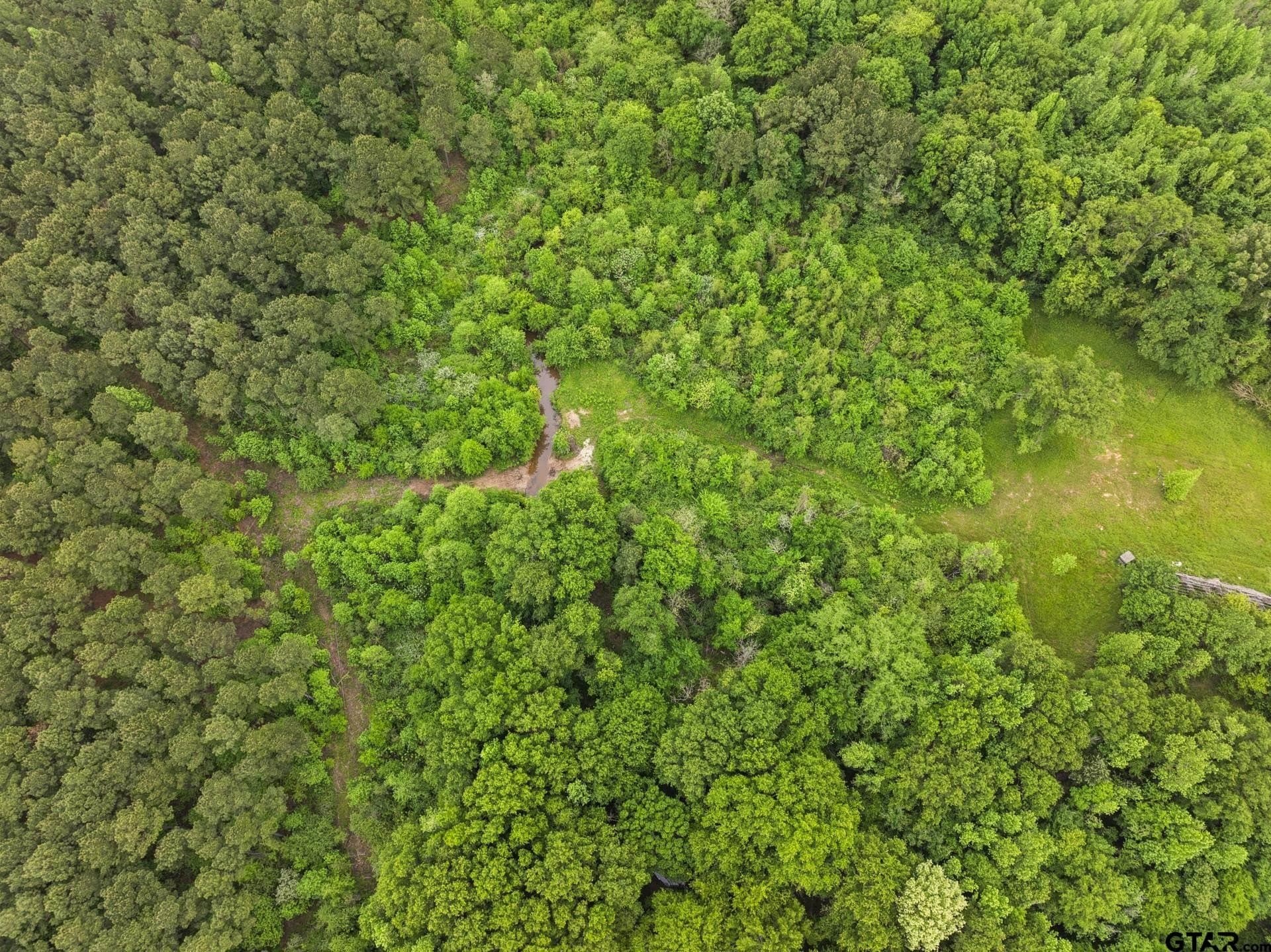 10.8 acres in Camp County - photo 9