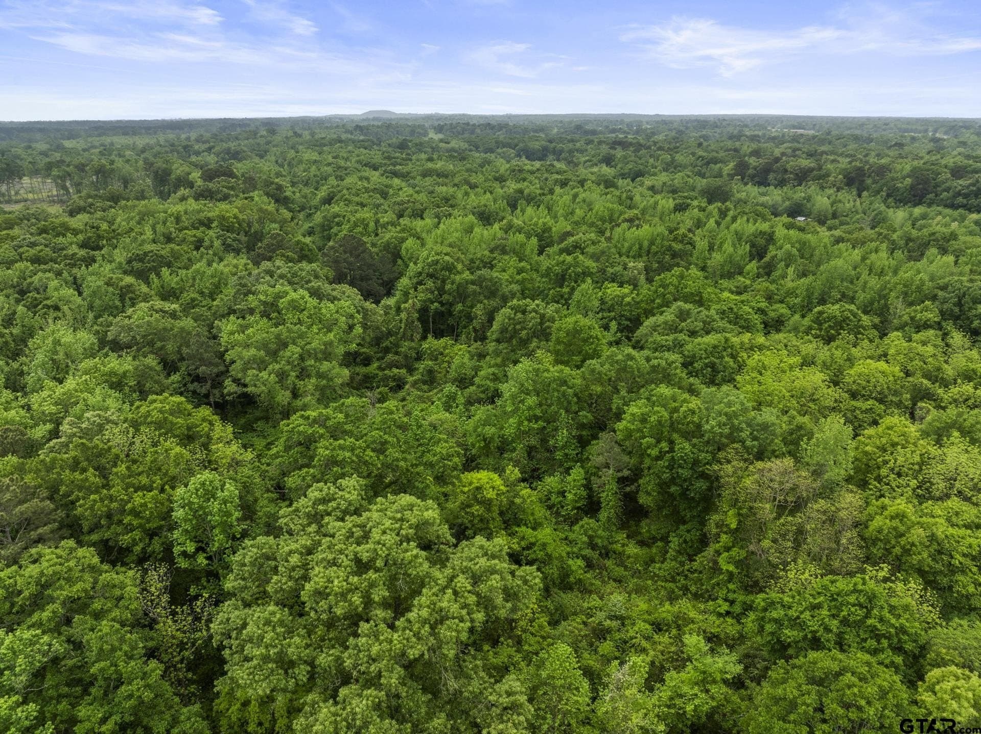 10.8 acres in Camp County - photo 5