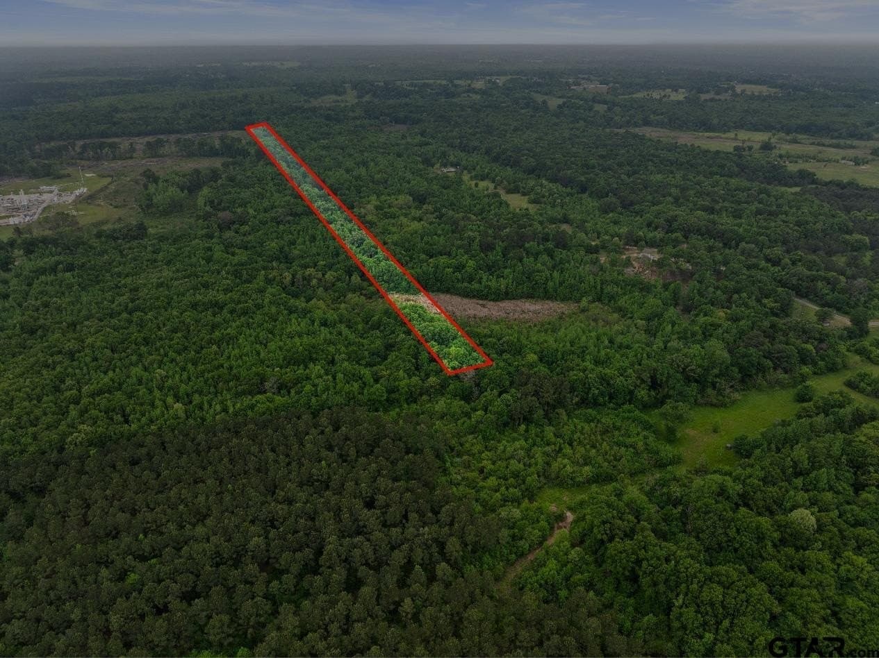 10.8 acres in Camp County - photo 13