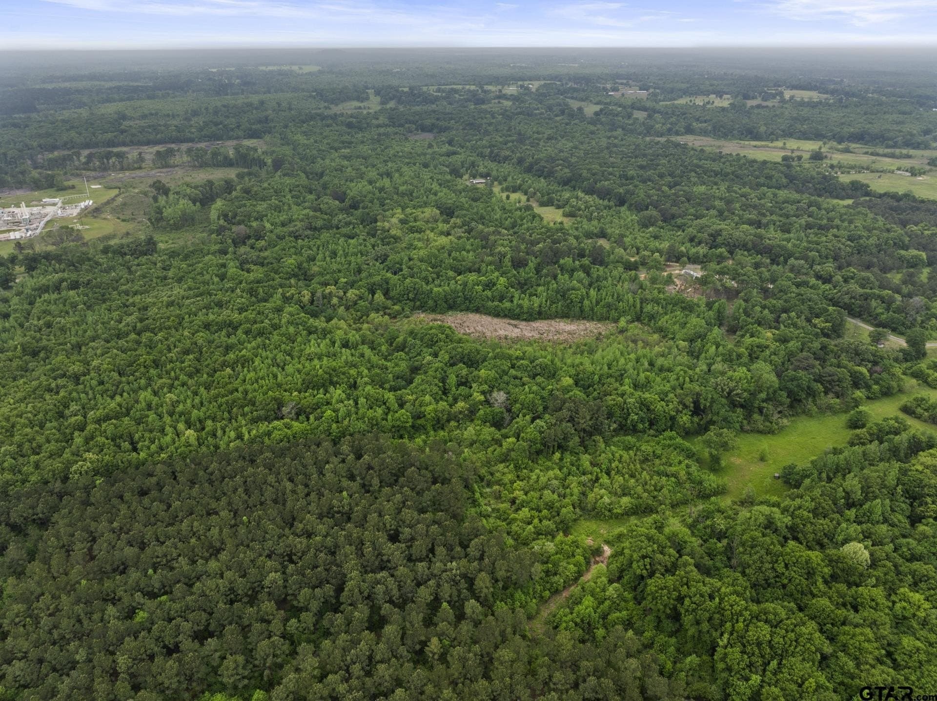 10.8 acres in Camp County - photo 11