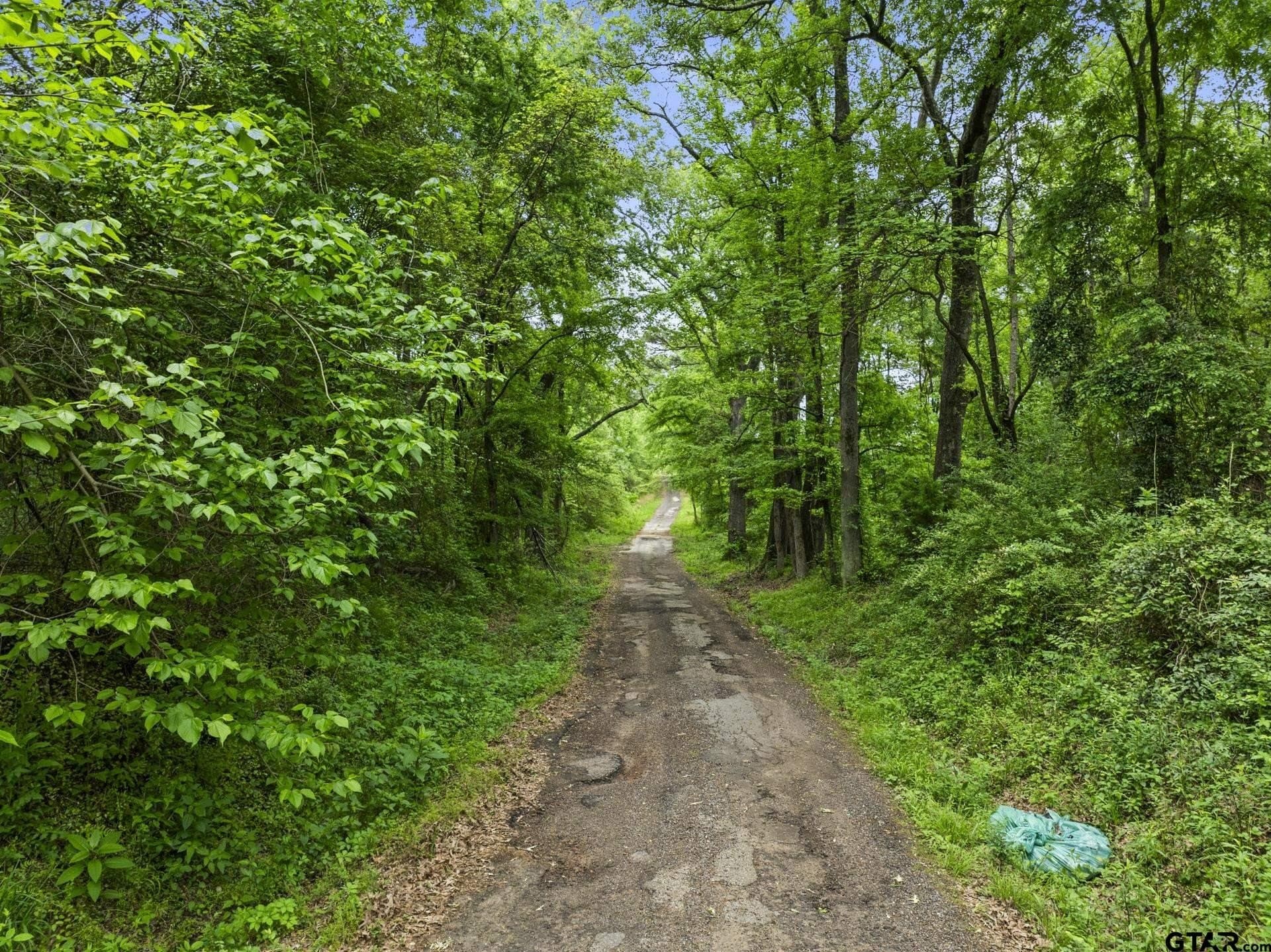 10.8 acres in Camp County - photo 2