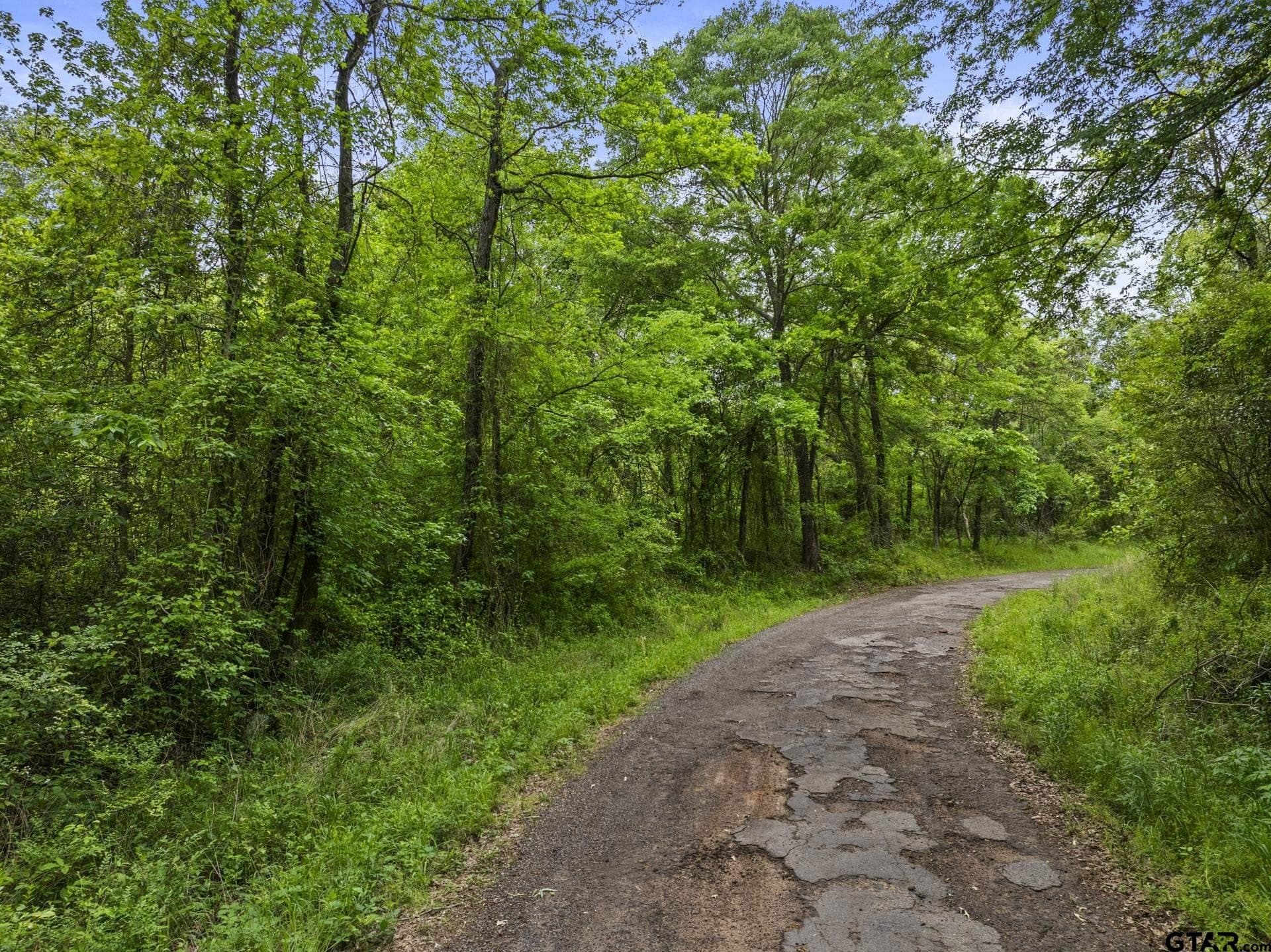 10.8 acres in Camp County - photo 3