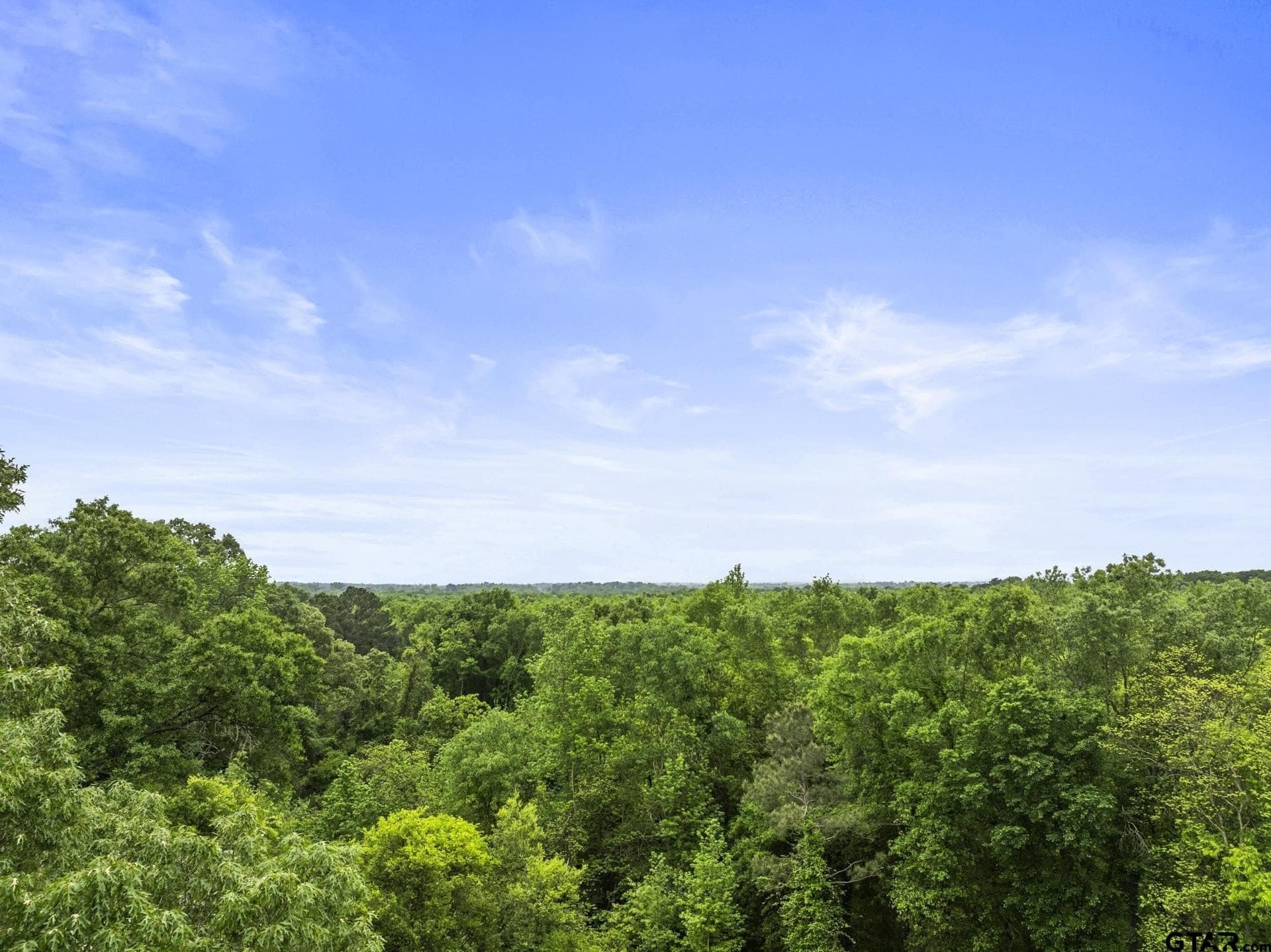 10.8 acres in Camp County - photo 4