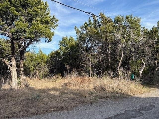 0.3 acres in Hill County - photo 3