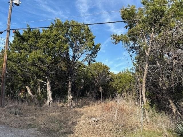 0.3 acres in Hill County - photo 2