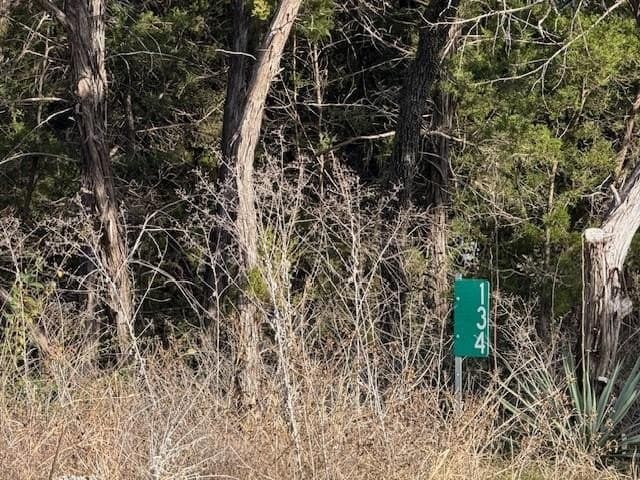 0.3 acres in Hill County - photo 4