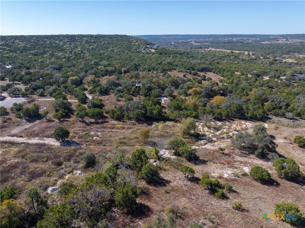 4 acres in Travis County - photo 10