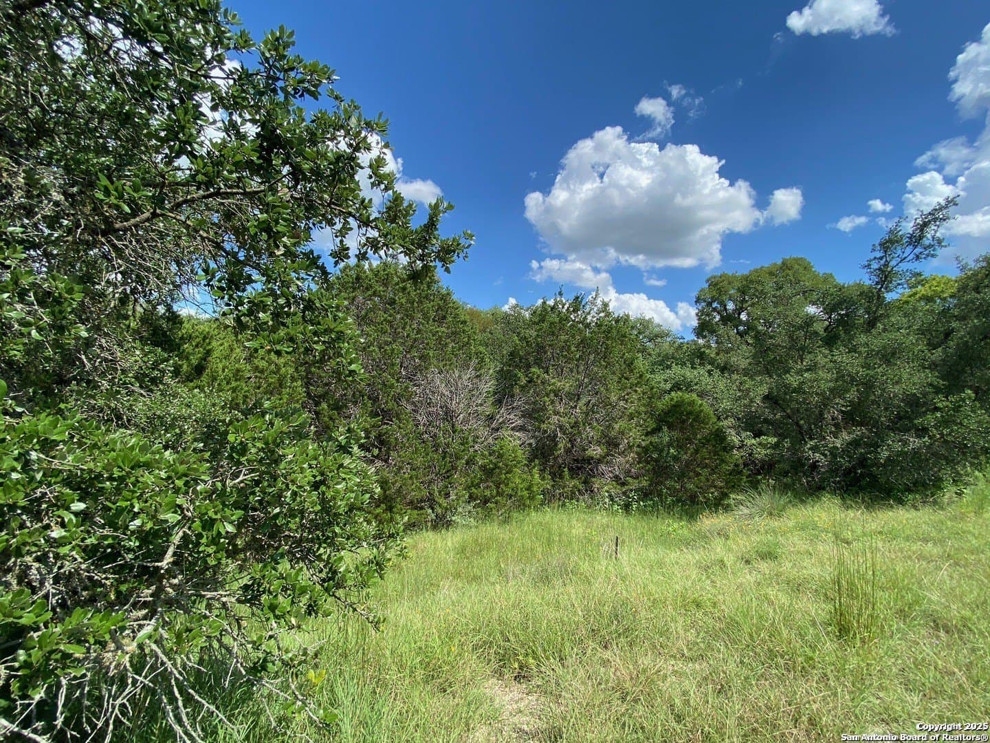 1.77 acres in Comal County - photo 4