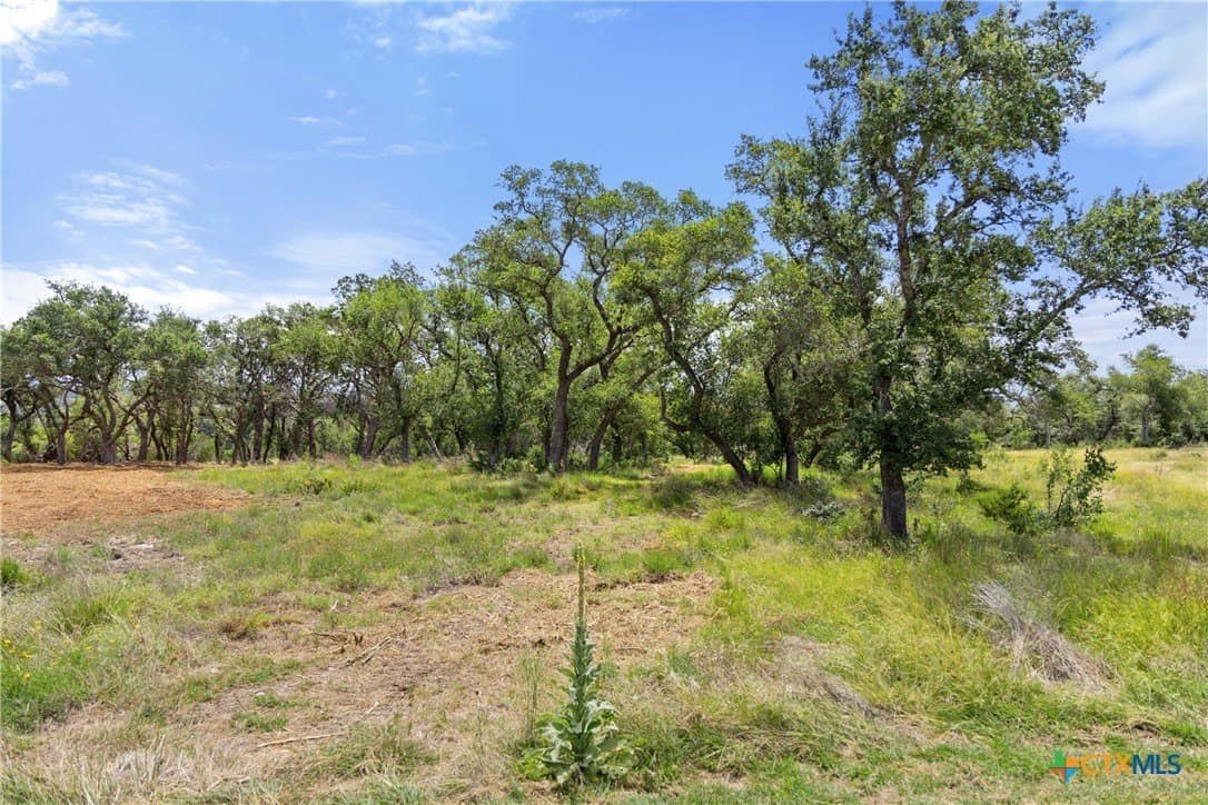 3.17 acres in Comal County - photo 11