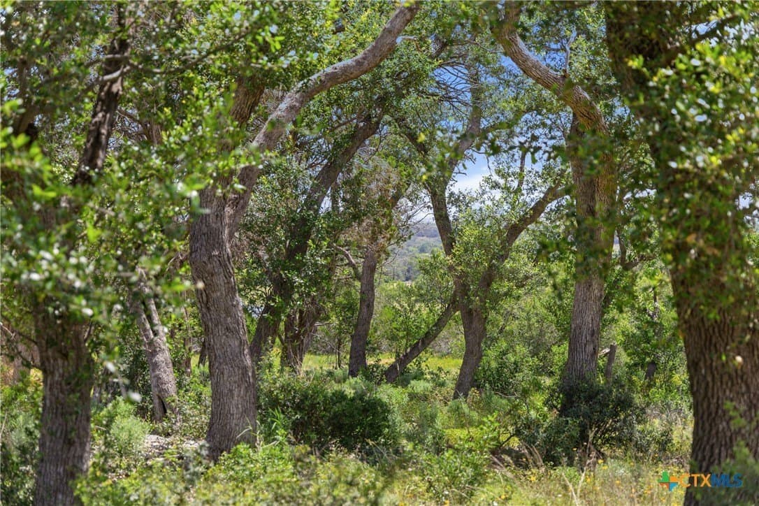 3.17 acres in Comal County - photo 5