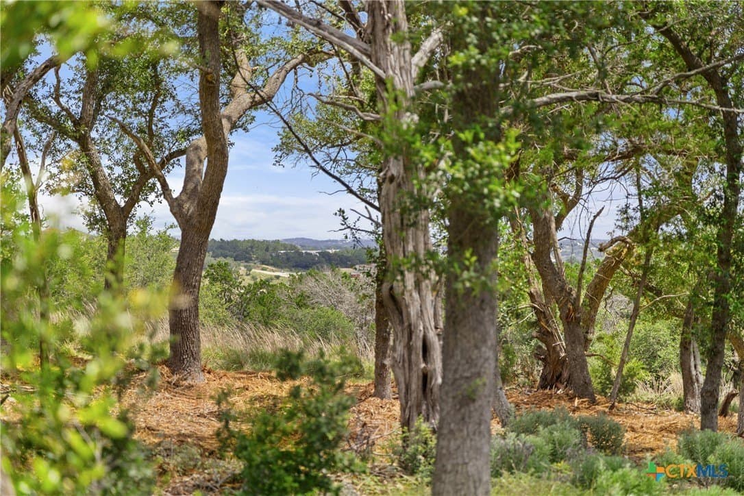3.17 acres in Comal County - photo 2