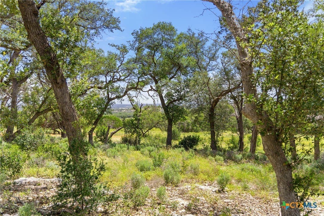 3.17 acres in Comal County - photo 8