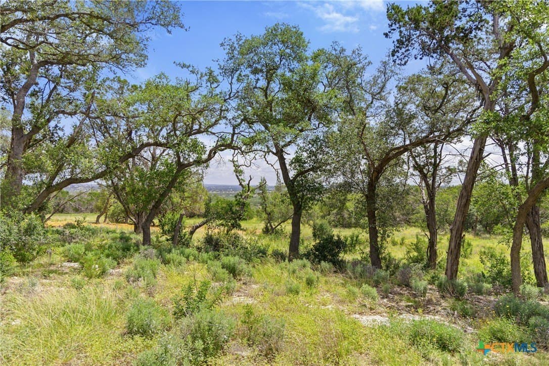 3.17 acres in Comal County - photo 3