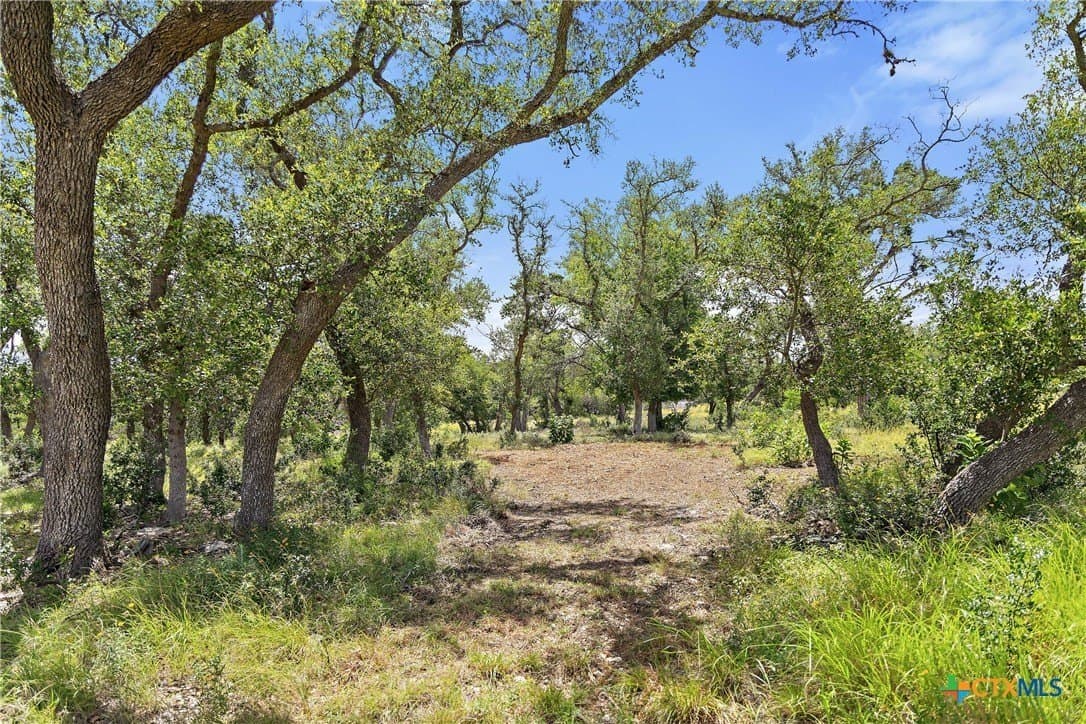 3.17 acres in Comal County - photo 7