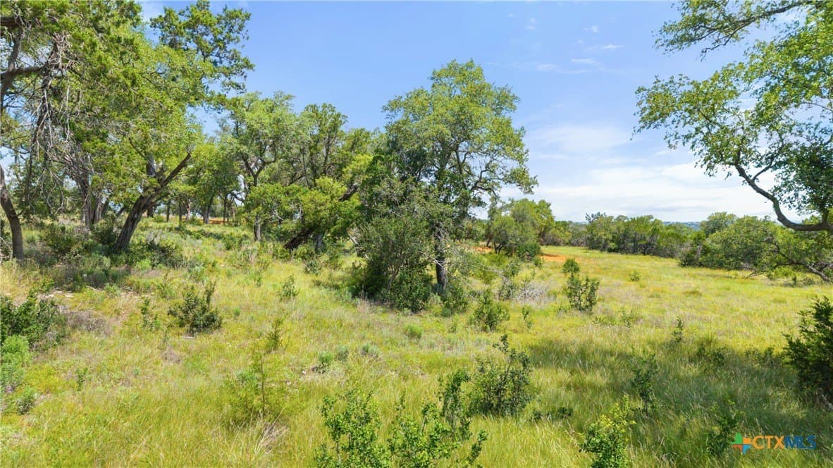 3.17 acres in Comal County - photo 22