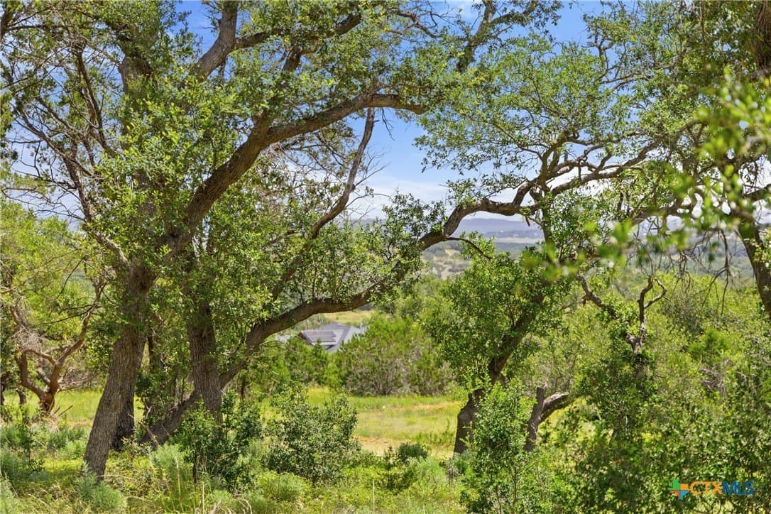 3.17 acres in Comal County - photo 6