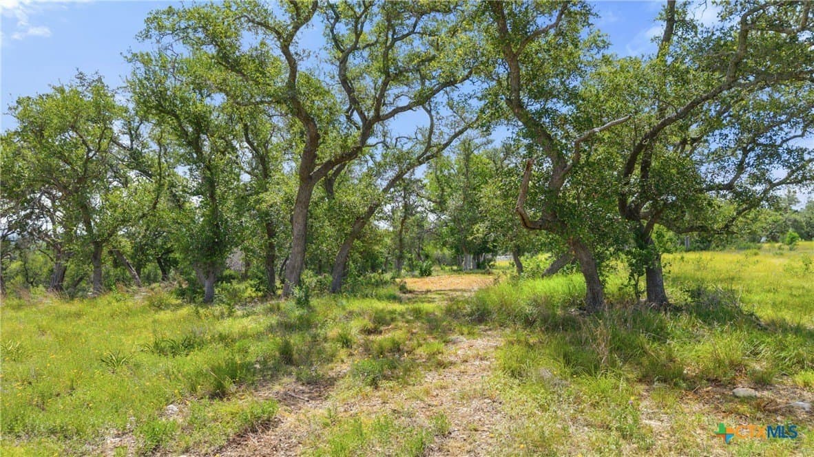 3.17 acres in Comal County - photo 13