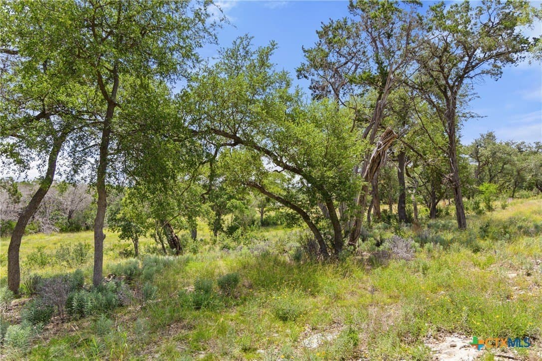 3.17 acres in Comal County - photo 9