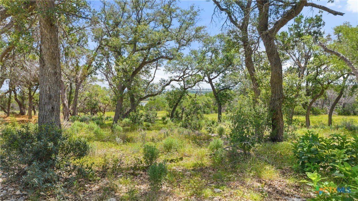 3.17 acres in Comal County - photo 12