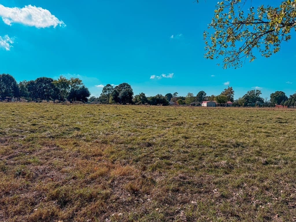 4.97 acres in ANDERSON County - photo 5