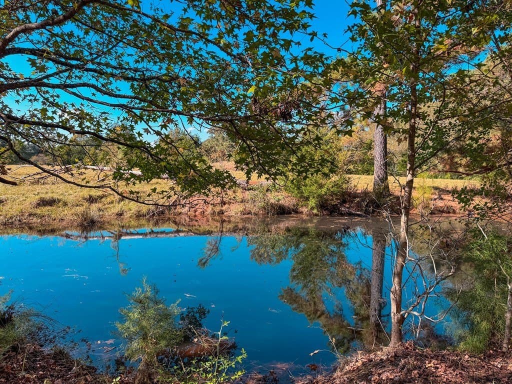 4.97 acres in ANDERSON County - photo 16
